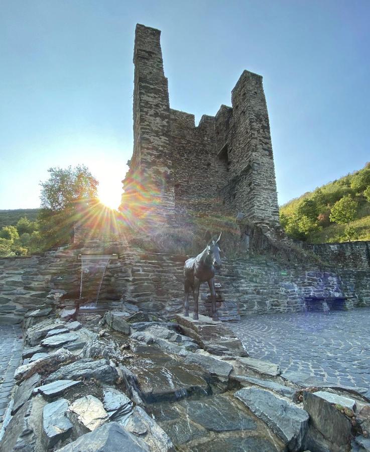 Roosartige Ferien - Ferienwohnung Am Weiherturm باشاراش المظهر الخارجي الصورة